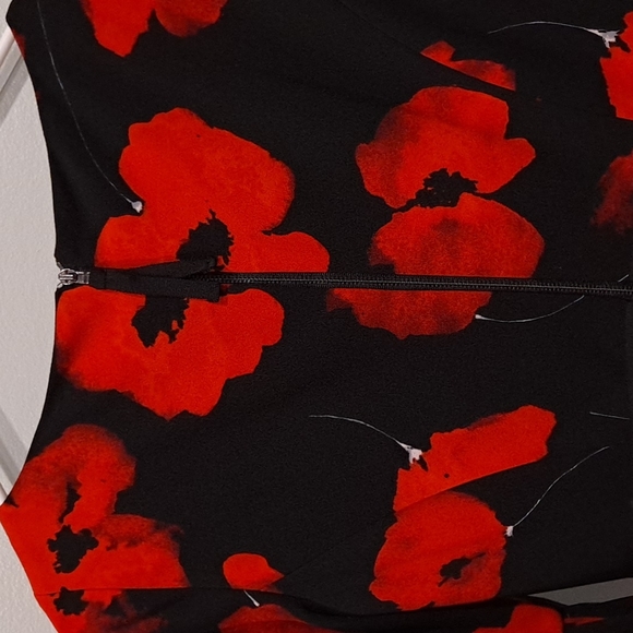 Maggy London poppy floral dress - Picture 8 of 12